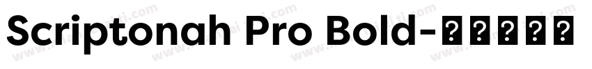 Scriptonah Pro Bold字体转换